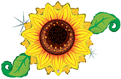 46" Linky Sunflower Holographic