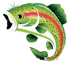 29" Rainbow Trout