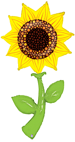 5' Fresh Pick - Sunflower