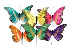 7.5" Indian Butterfly Pick Assortment