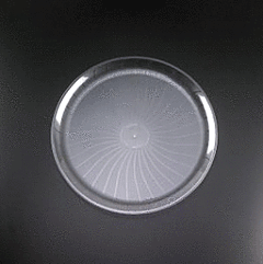 16" Round Party Tray - Clear