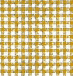 Cello Goodie Bag - Gold Gingham