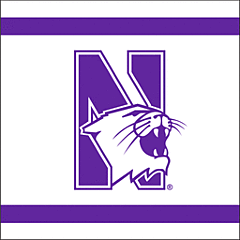 Northwestern - Bev Napkin 24Ct