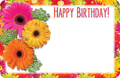 Enclosure Card - Happy Birthday Bright Gerberas