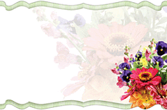 Enclosure Card - Blank Gerbera Bouquet