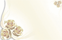 Enclosure Card -Blank Ivory Roses