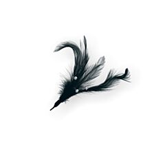 6" Flutterzz Black Feathers