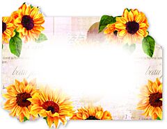 Enclosure Card - Sunflowers